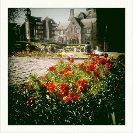 Lunch or Picnic Spots Dublin City Centre - Christ Church Cathedral Grounds